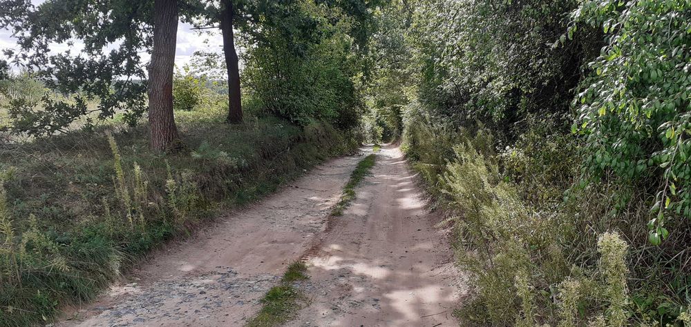 Działka rekreacyjna nad jeziorem, 706 m², prąd, woda, Lubieniec okolice Chodcza - Widok 4