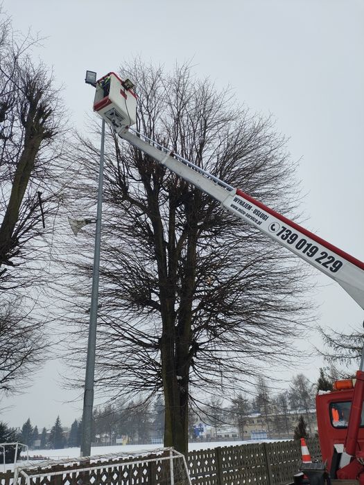 Usługi podnośnikiem koszowym zwyżka podnośnik koszowy wynajem 16-26m