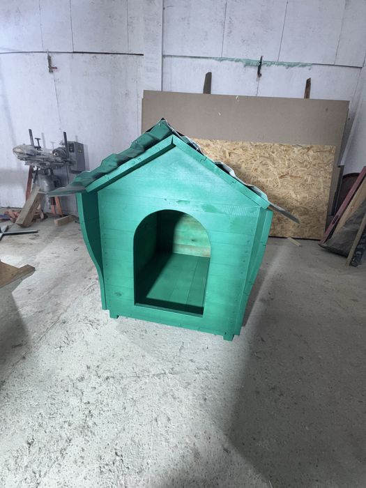 Буда для песика)