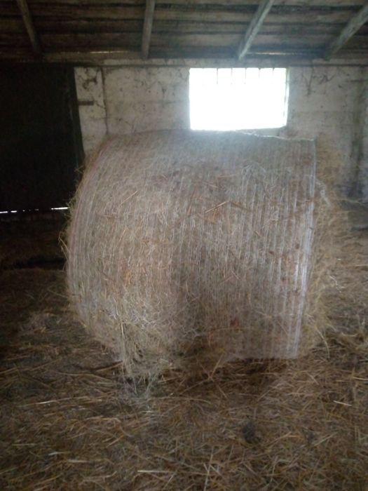 Сено в рулонах   .