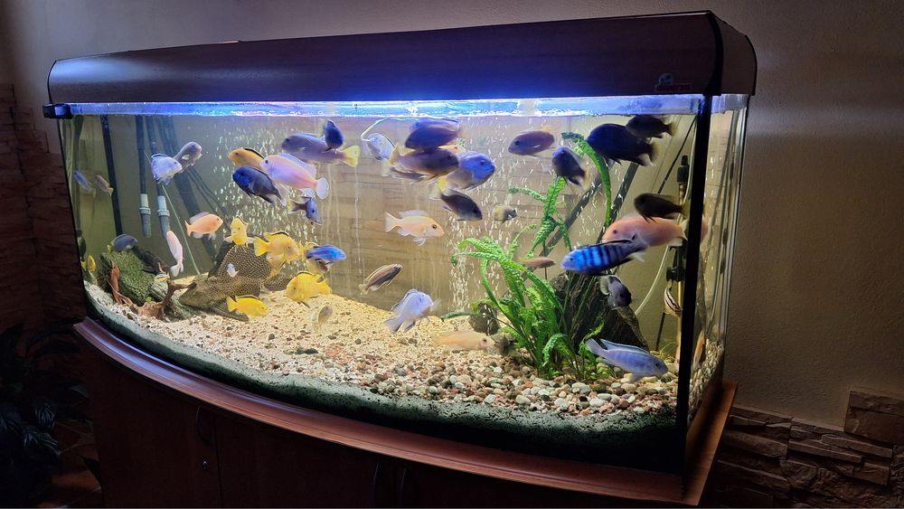 Akwarium 500L Zestaw