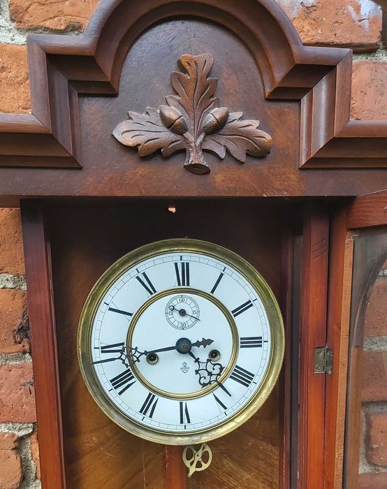 Gustav Becker żyłkowiec