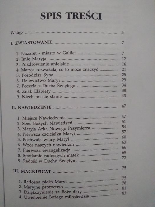 Z Maryją w nowe tysiąclecie- o. Stanisław Stańczyk