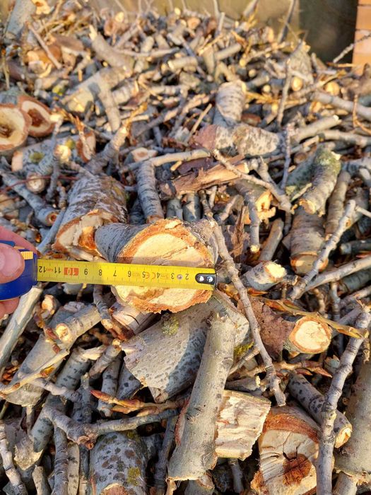 Дрова твердые Дробленная Акация,берест ветка в мешках / Насыпью /Бегах