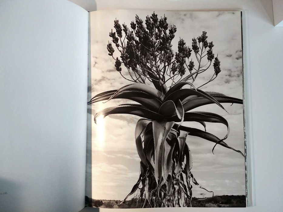 Madagáscar - Gian Barbieri (Taschen / formato grande / porte incluído)