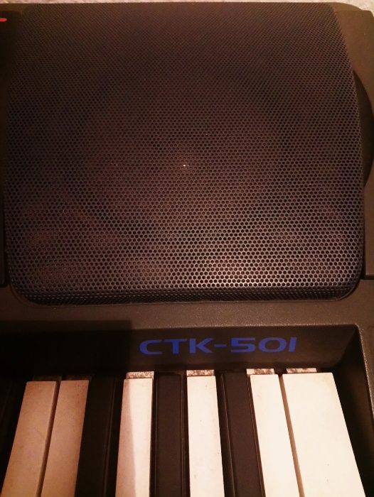 Sintetizador/Teclado Casio