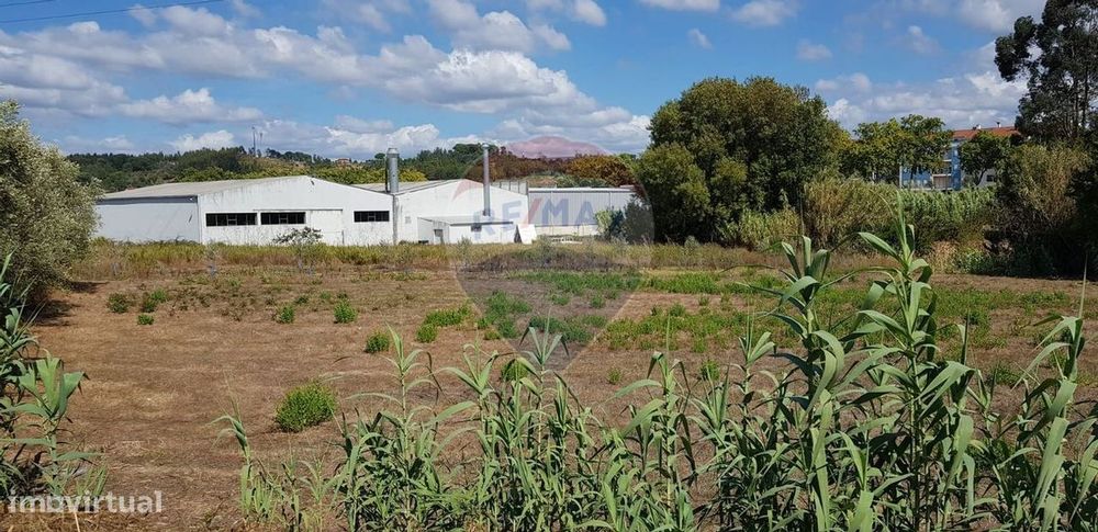 Terreno  para venda — Pombal, Leiria