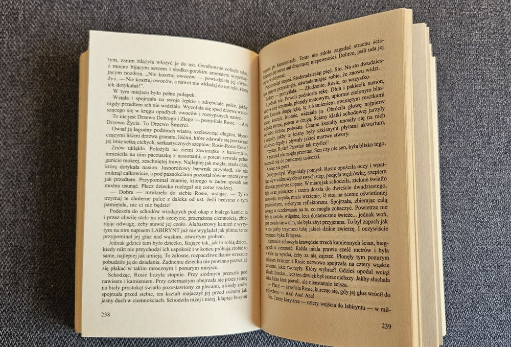 Stephen King - Rose Madder