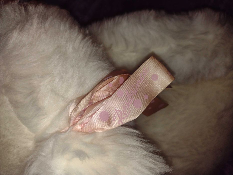 Cãozinho de peluche branco e focinho cor-de-rosa.