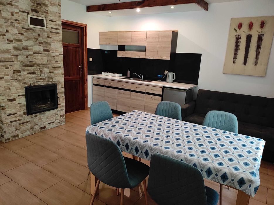 Domki Nad Tanwią, całoroczne z kominkami w sosnowym lesie na Roztoczu.