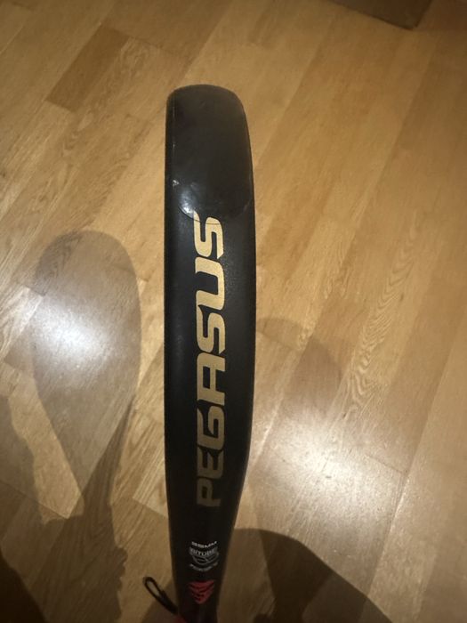 Raquete Siux Pegasus