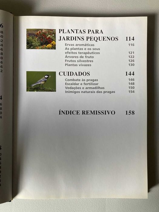 Pequenos Jardins Bem Idealizados