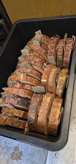 Wycinka drzew i skracanie żywopłotów.