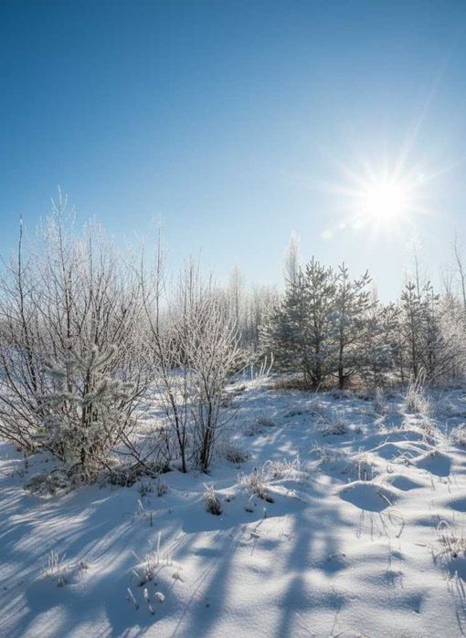 Продаж ділянки 12 соток для будівництва. В оточенні лісу. ТОРГ! ID:661