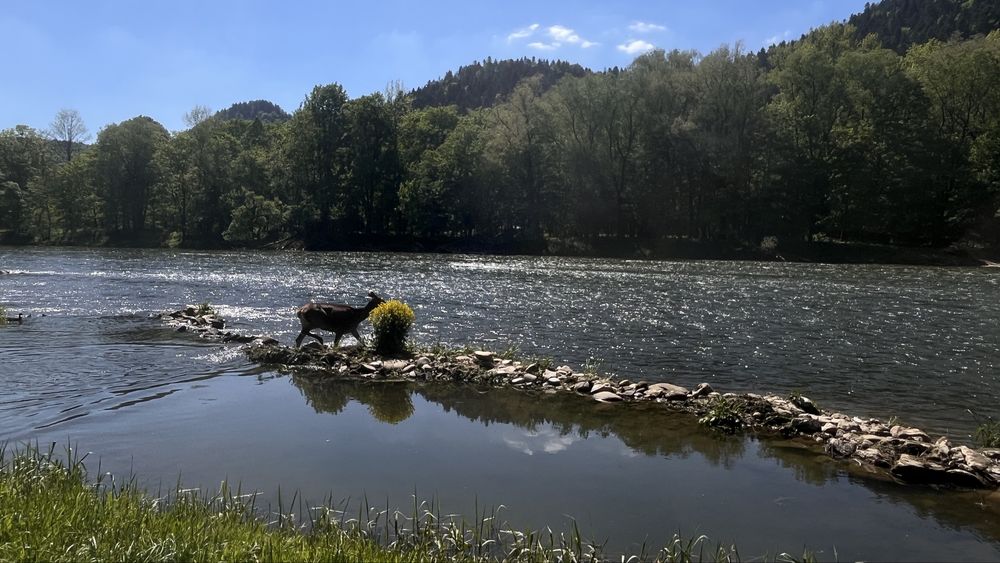 Domki   -Przystań nad Dunajcem - SZCZAWNICA
