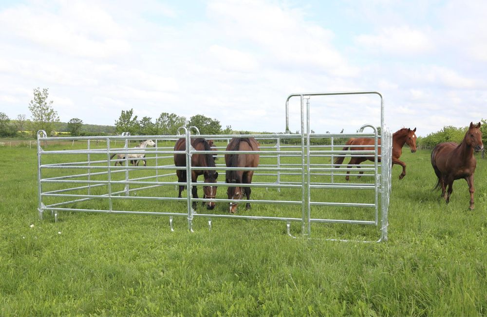 Lonżownik dla koni, ogrodzenie dla koni