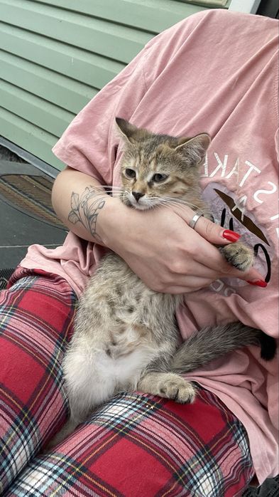 Малюки шукають люблячу родину