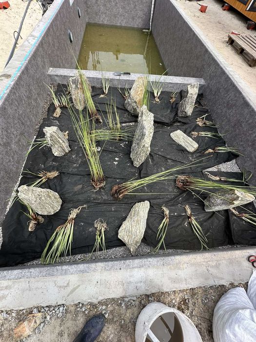 Водоем пруд озеро Водойма