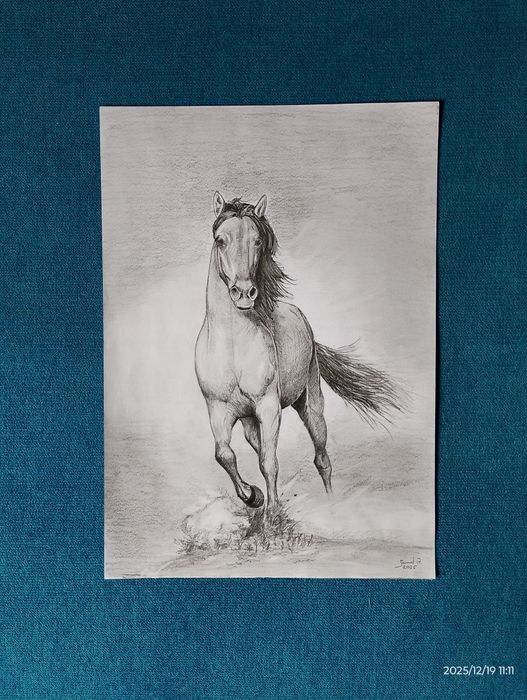 Rysunek artystyczny ołówkiem A4. Koń w galopie