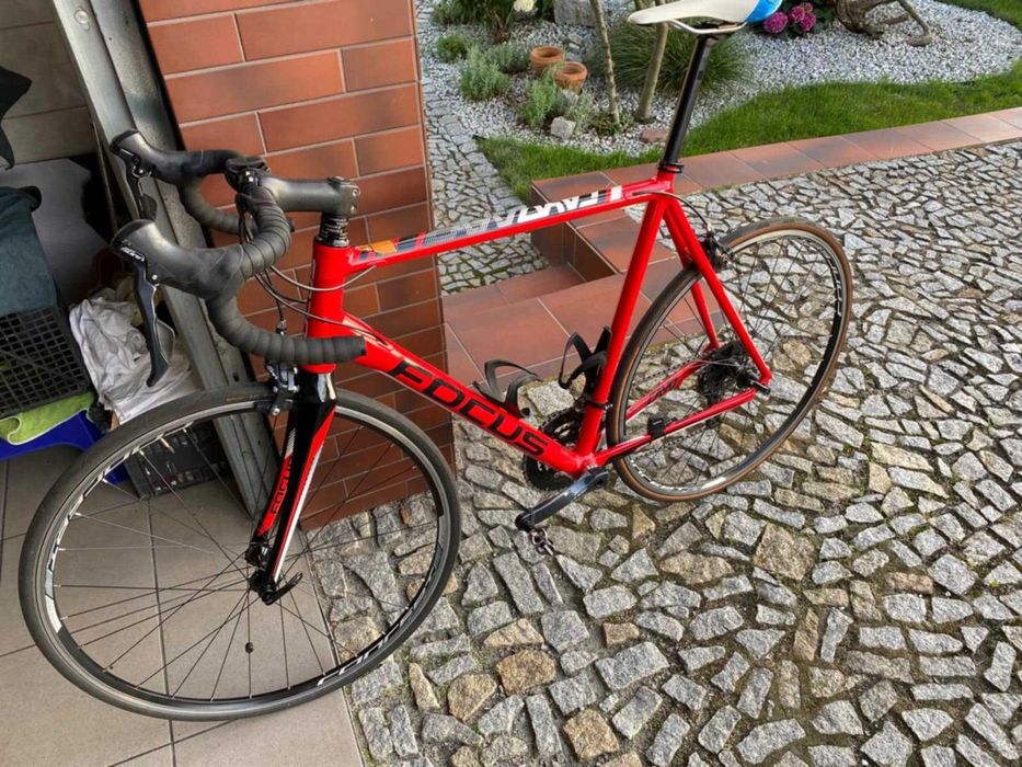 Cayo Disc Focus Cayo Al Sora Focus Cayo Sora