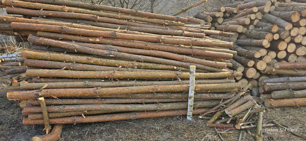 Stęple budowlane,słupki drewniane,kołki