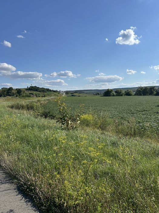 Фото ділянки