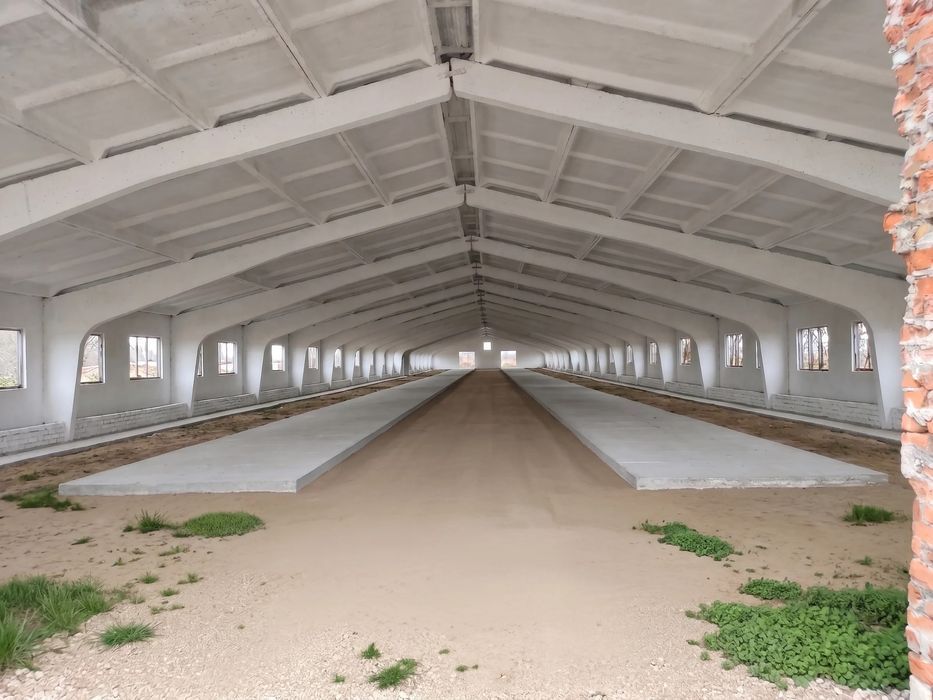 Продаж комплексу 30 000 м², Чернігівська обл.: ферма / склад / виробництво