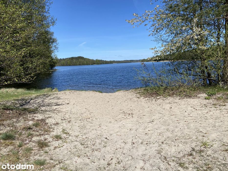Półwysep, ponad 200m linii brzegowej jezioro Gowidlińskie 17 154 m² - Widok 5