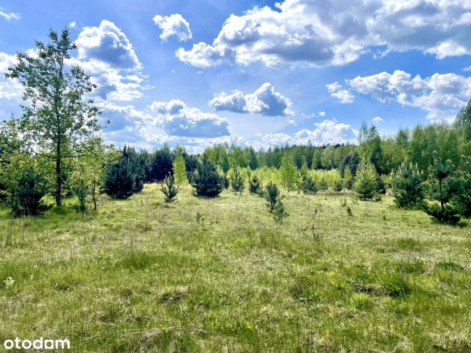 Działka budowlana 1,40 ha Ossa k/ Rawy Maz