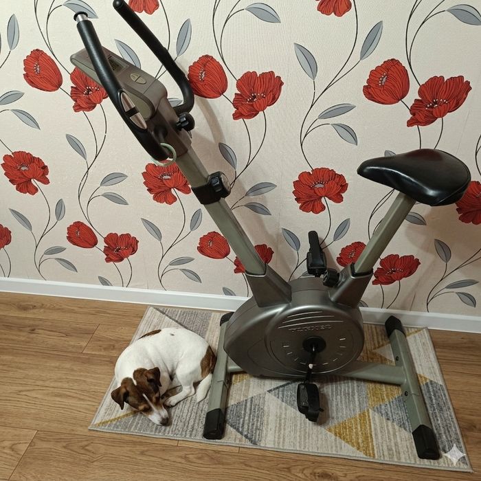 Велотренажер Torneo Samba