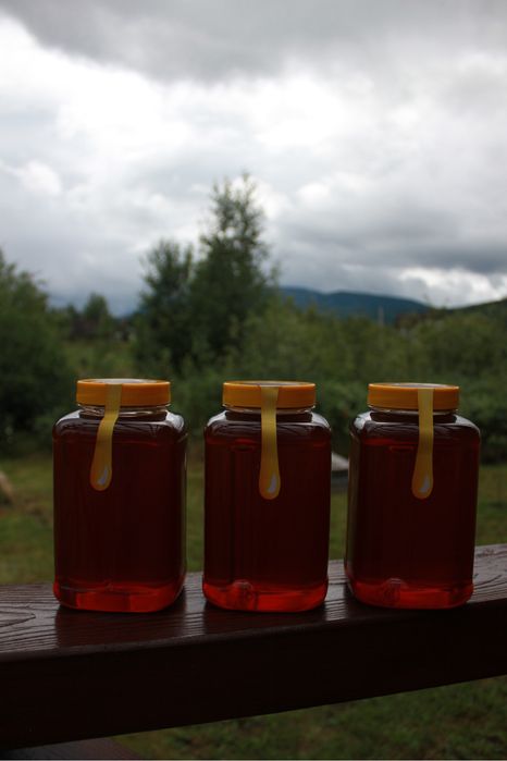 Продам Мед Карпатський Лісовий