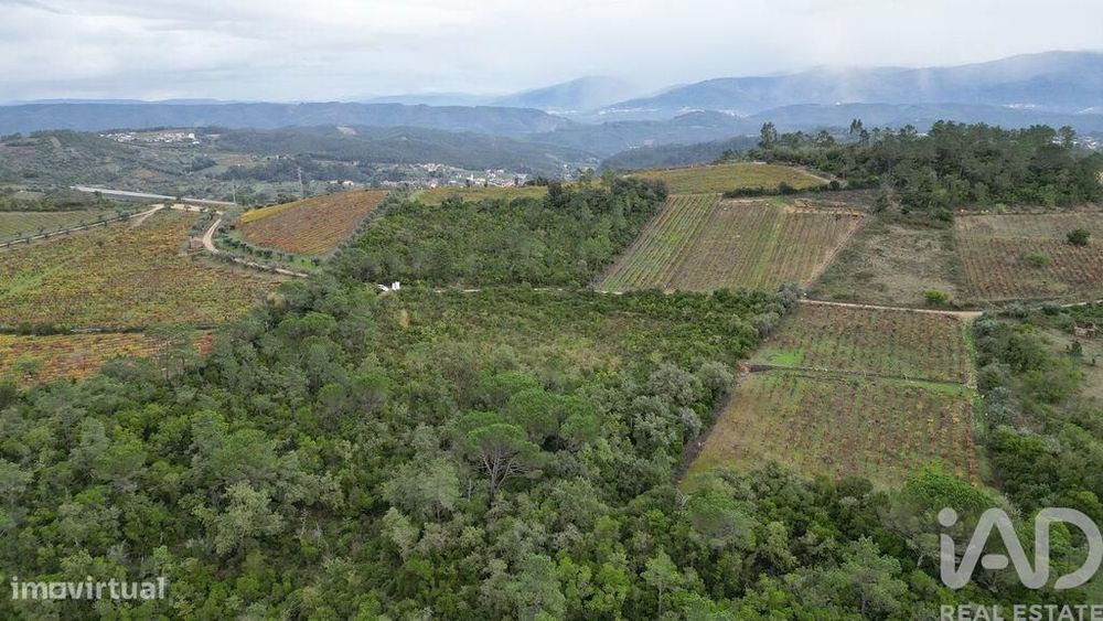 Terreno Agrícola em Condeixa-a-Velha e Condeixa-a-Nova