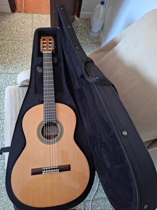 Viola clássica Paco Castillo, 204