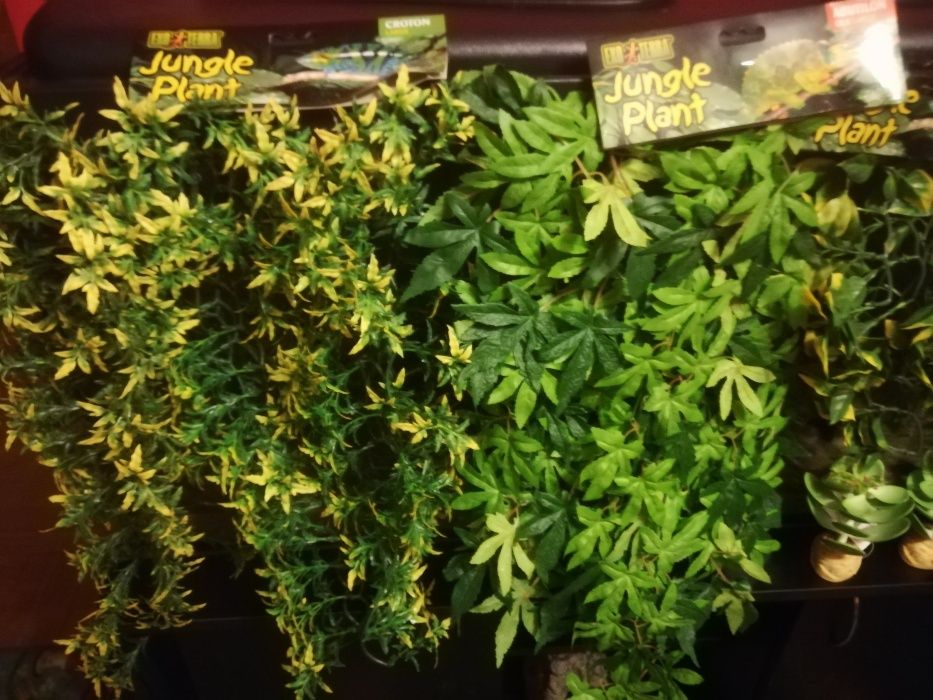 TERRARIUM rośliny Exoterra nowe terarium