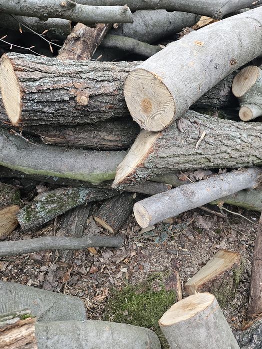 Sprzedam drewno opałowe