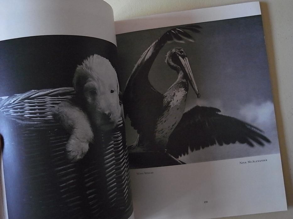 livro anuário fotografia americano 1951