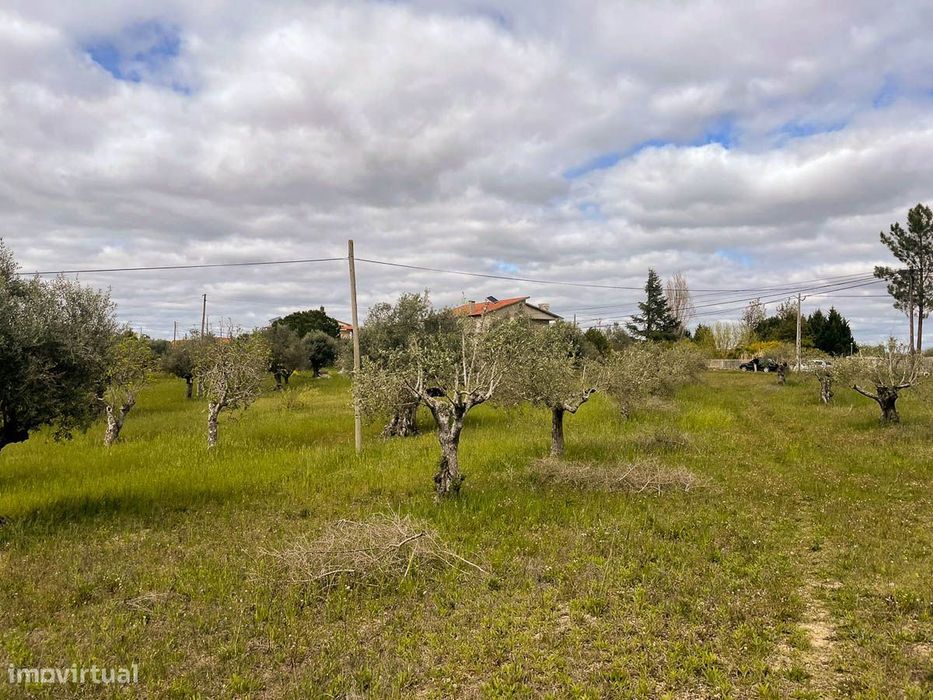 Terreno