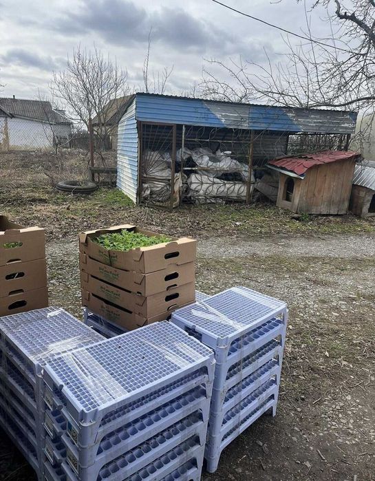 Продаж комерційного приміщення в Яришівці