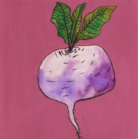 desenho original "nabo"