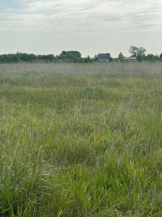 Земельна ділянка, с. Пили