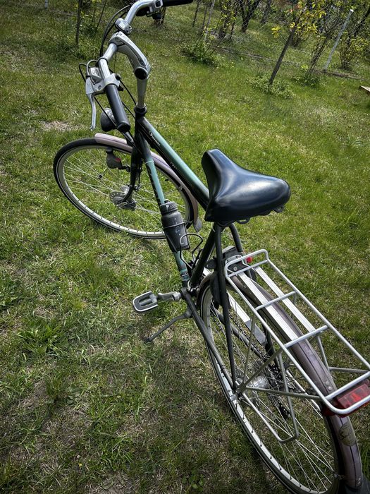Rower męski Gazelle