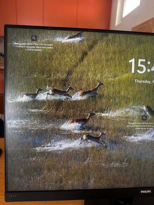Monitor Philips 24IV497470864224440320