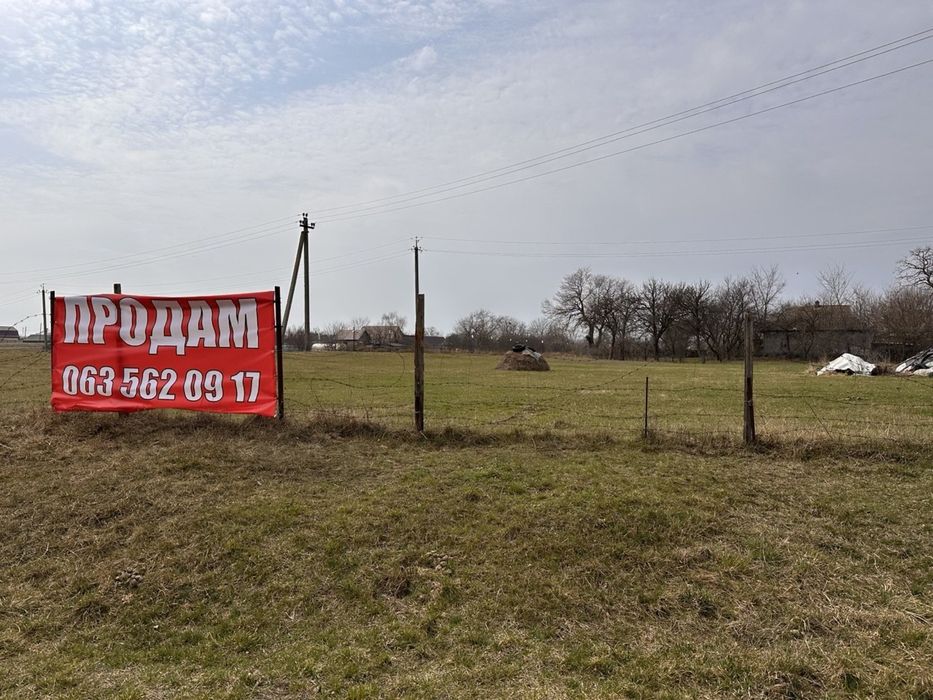Земельна ділянка будинок земля 39 соток Велика Стариця Синьківка