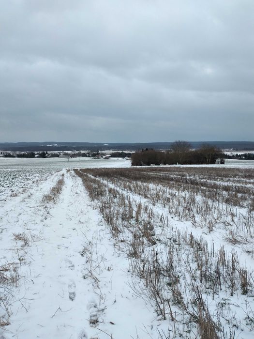 Topornica działki widokowe 8 km od Zamościa