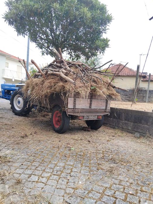 Serviços agrícolas