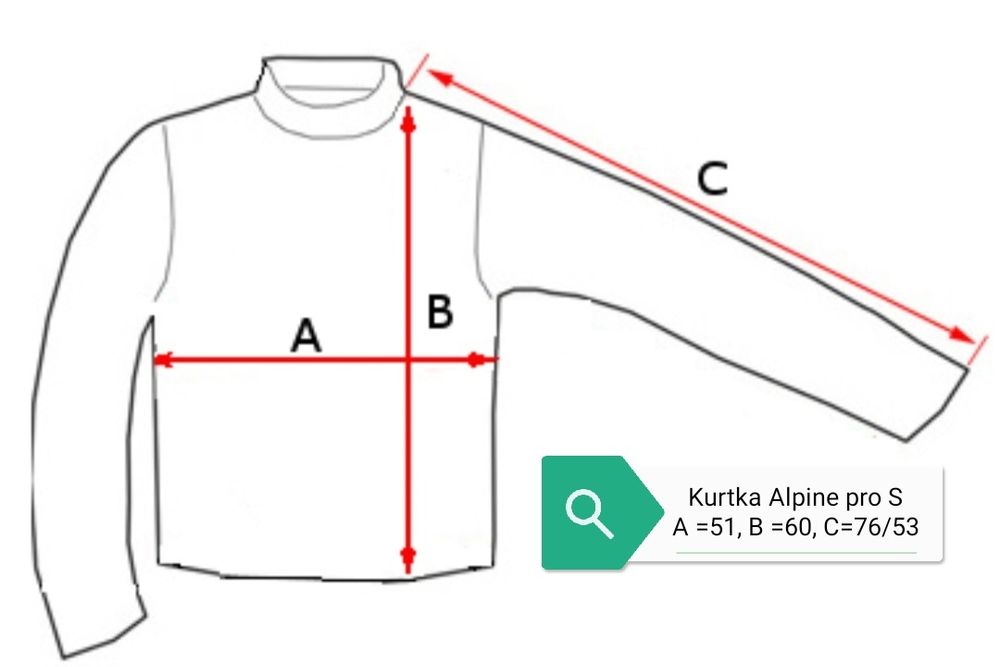 Kurtka Alpine pro S