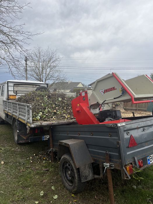 Подрібнення гілок, вивіз гілок, зрізати дерево, зрізання дерев