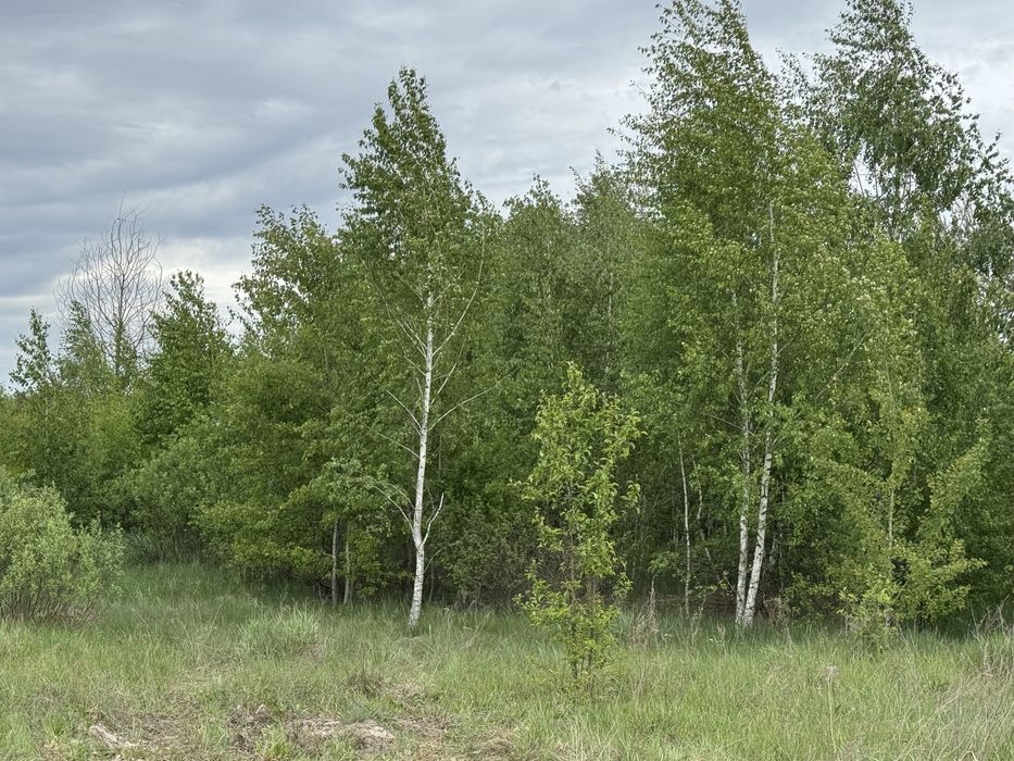 Земельна ділянка 1,5 га!!! Пилиповичі