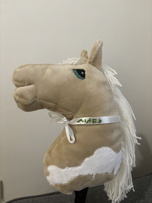 Hobby horse - koń na kiju