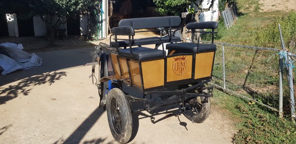 Poney c/s charrete e arreios